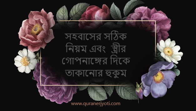 Mishel Mercier minut beradi